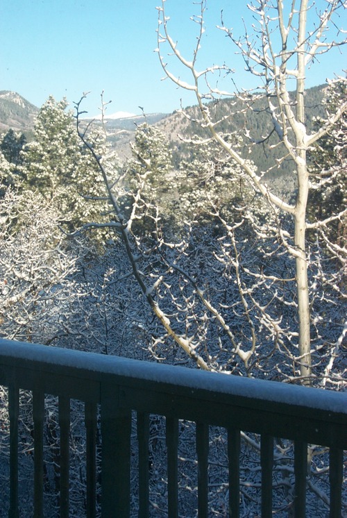 P0001101.JPG